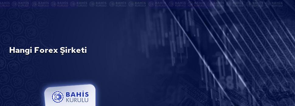 Hangi Forex Şirketi