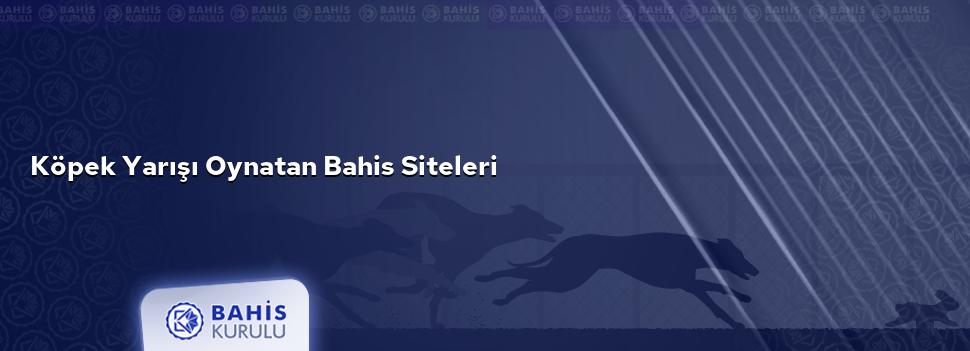 Köpek Yarışı Oynatan Bahis Siteleri
