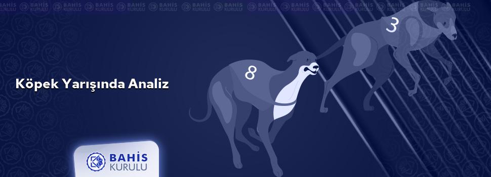 Köpek Yarışında Analiz