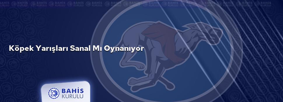 Köpek Yarışları Sanal mı Oynanıyor