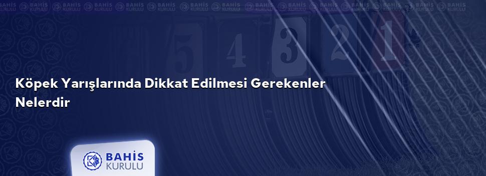 Köpek Yarışlarında Dikkat Edilmesi Gerekenler Nelerdir
