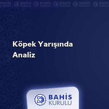 Köpek Yarışında Analiz
