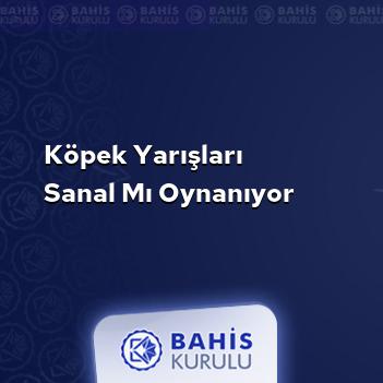 Köpek Yarışları Sanal mı Oynanıyor