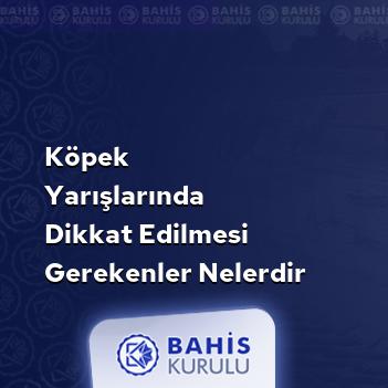 Köpek Yarışlarında Dikkat Edilmesi Gerekenler Nelerdir